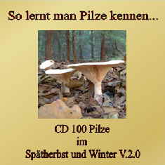Pilze im Herbst und Winter_1